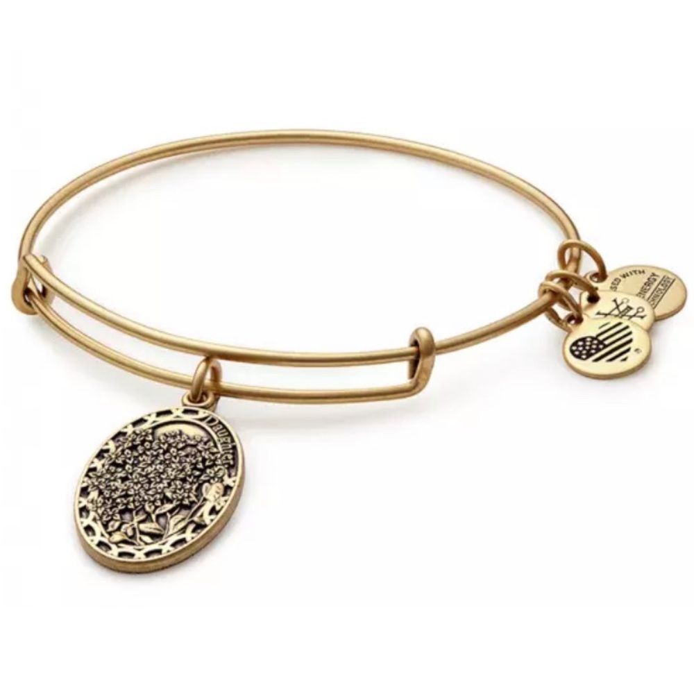 Alex and Ani Daughter Bracelet Because I Love You